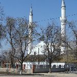 Мечеть села Новоалексеевка